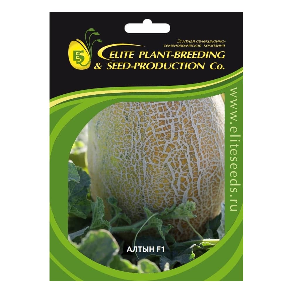 Алтын F1 семена дыни 20 шт ЭС мини ELITE PLANT-BREEDING & SEED PRODUCTION Co. 1999945129