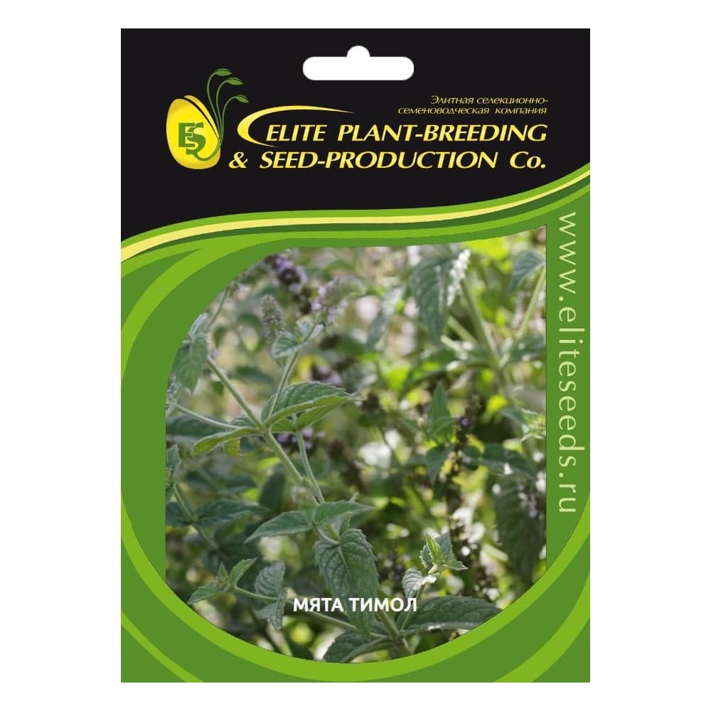 Тимол семена мяты овощной 1 г ЭС мини ELITE PLANT-BREEDING & SEED PRODUCTION Co. 1999947938